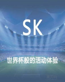 大型公关活动策划 从蓝图到辉煌